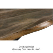 Live Edge Rough Sawn Bench With El Dorado Base - Image 2